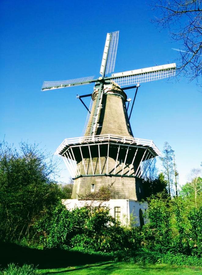 H 58 Leilighet Amsterdam Eksteriør bilde